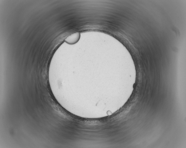 X0000110671129200907241017