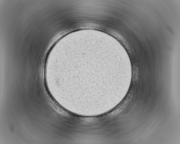 X0000110671130200907241017