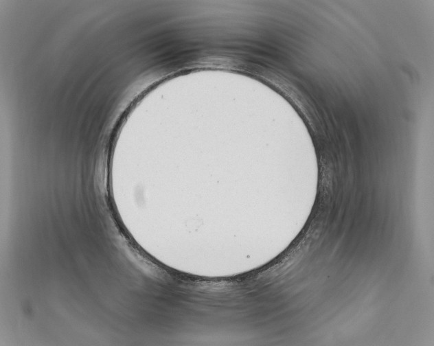 X0000110671131200907241017