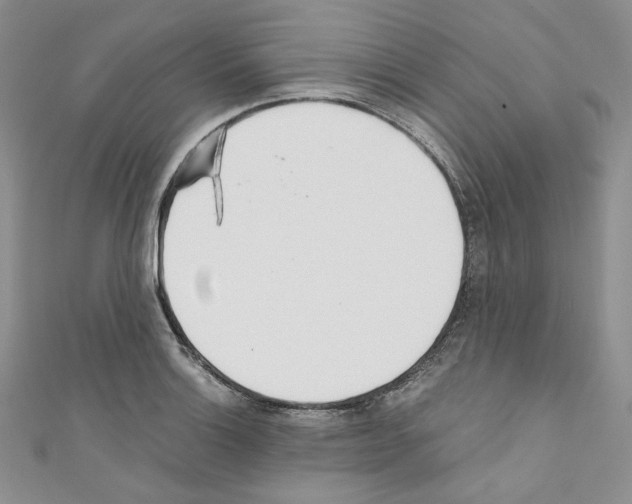 X0000110671132200907241017