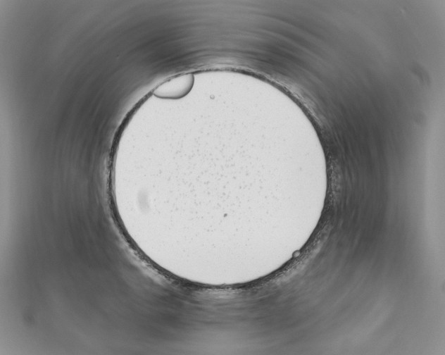 X0000110671134200907241017