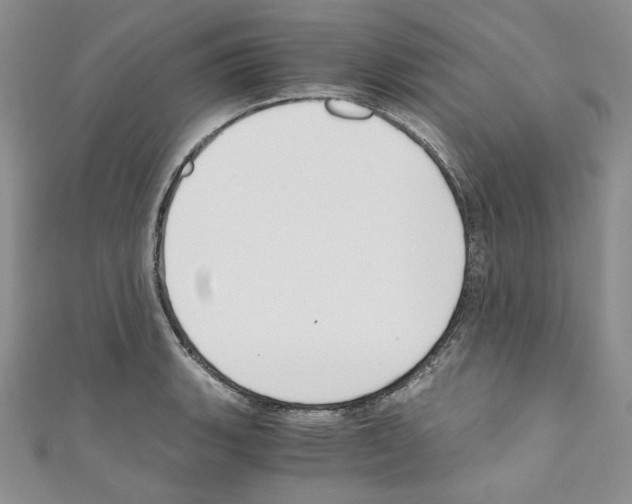 X0000110671135200907241017