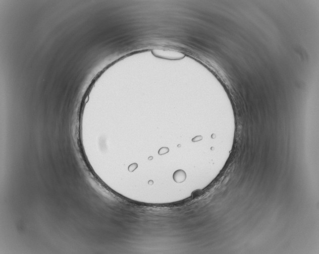 X0000110671136200907241017