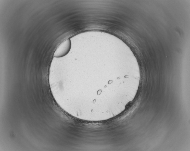 X0000110671137200907241017