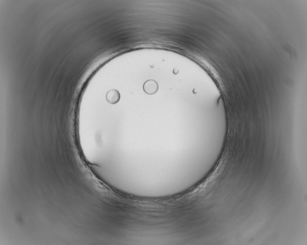 X0000110671138200907241017