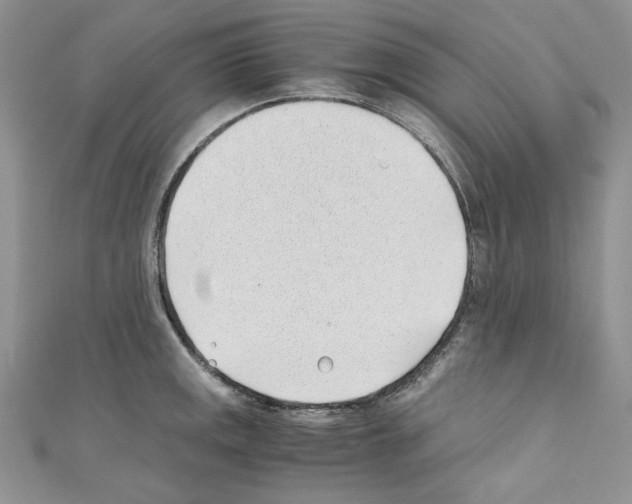 X0000110671141200907241017