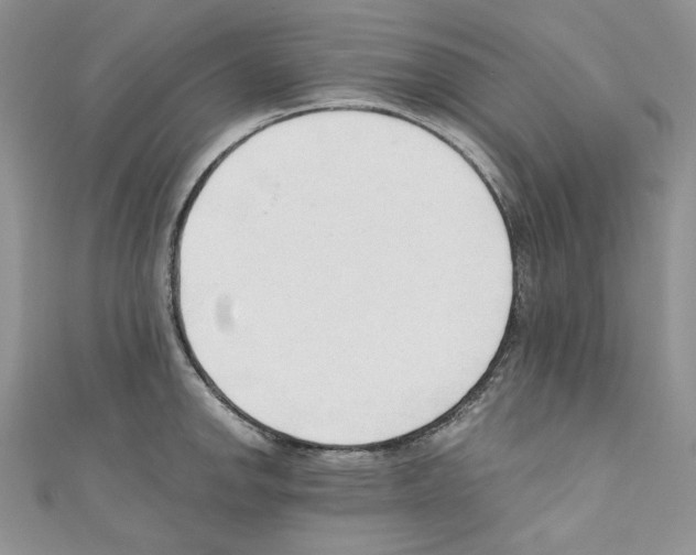 X0000110671142200907241017