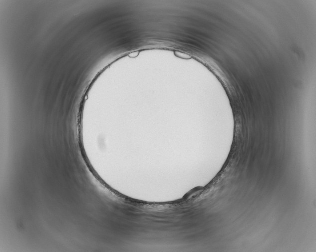 X0000110671143200907241017