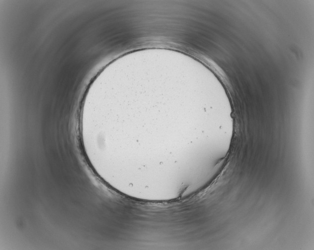 X0000110671144200907241017