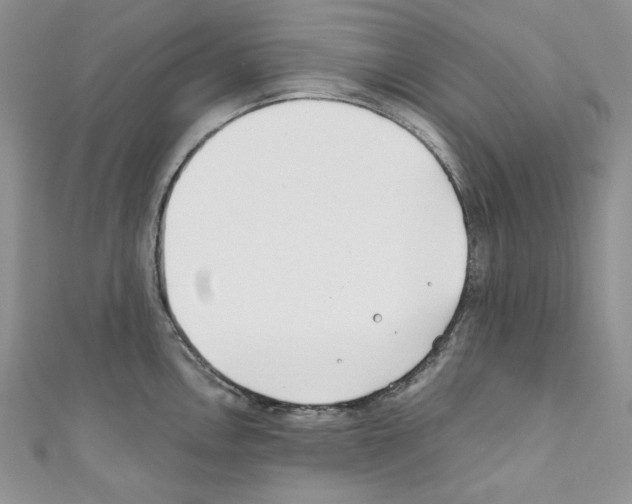 X0000110671146200907241017