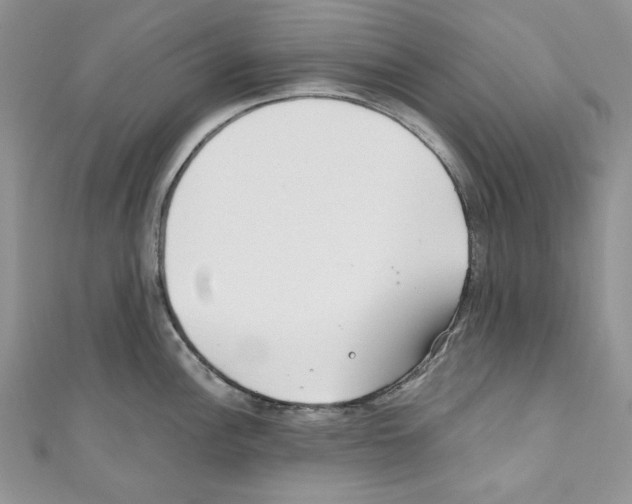 X0000110671148200907241017