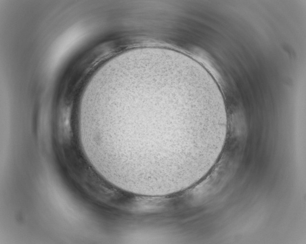 X0000110671150200907241017