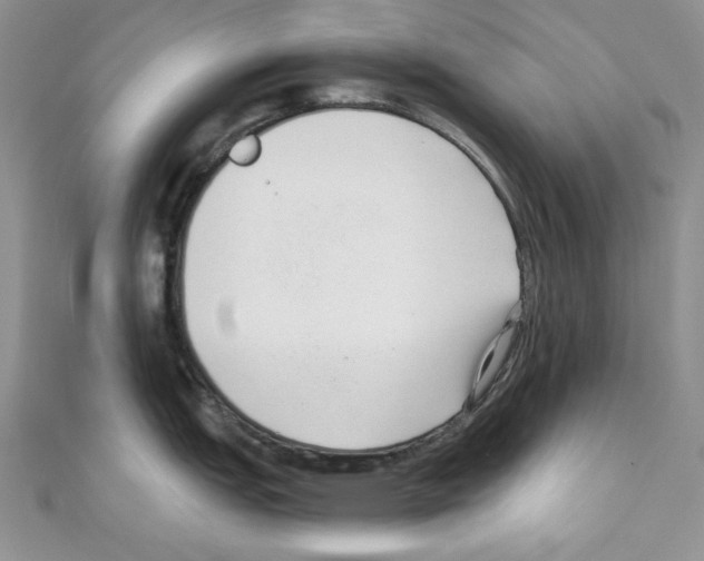 X0000110671151200907241017