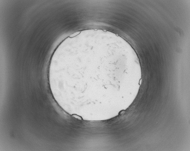 X0000110671152200907241017
