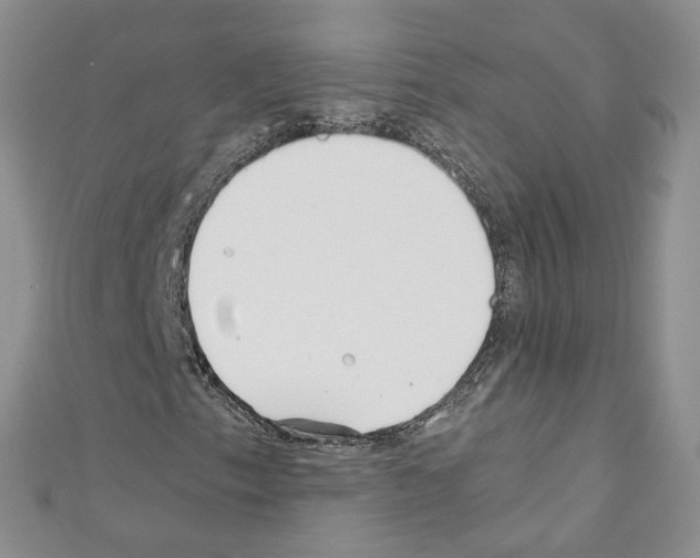 X0000110671153200907241016