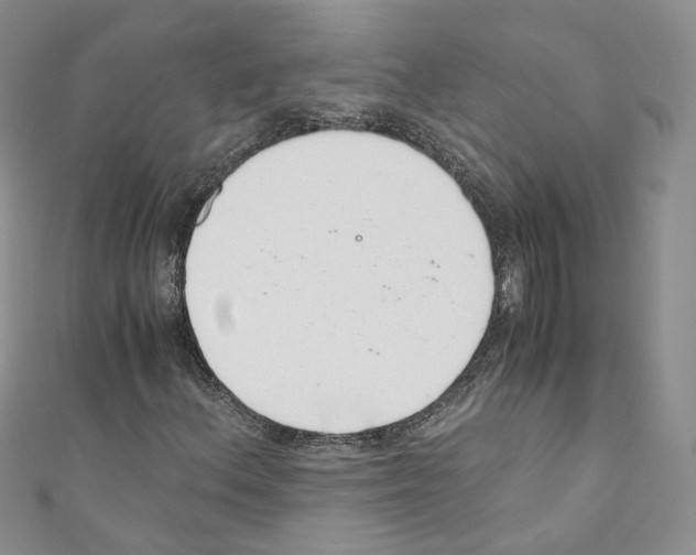 X0000110671156200907241016