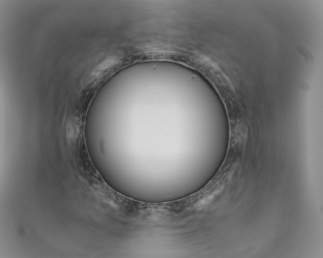 X0000110671157200907241016