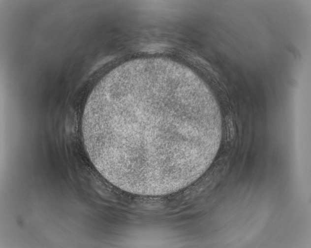 X0000110671158200907241016