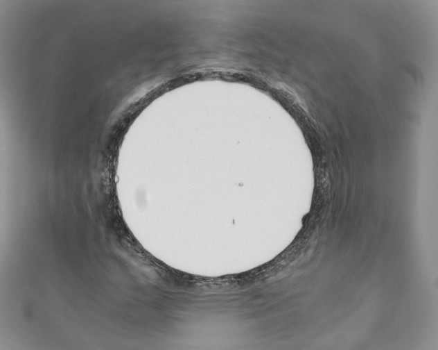 X0000110671159200907241016