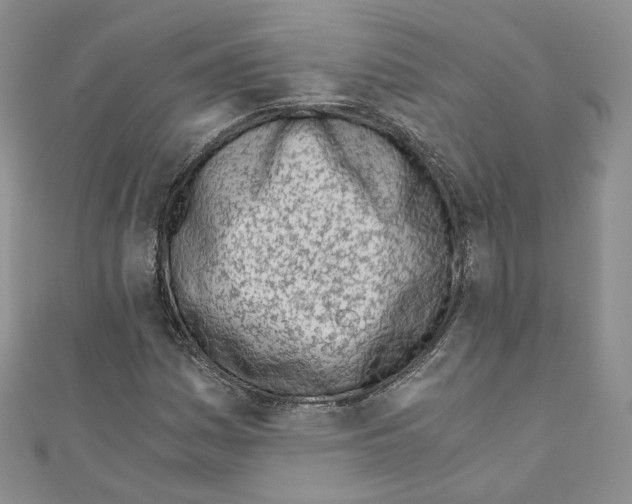 X0000110671161200907241016