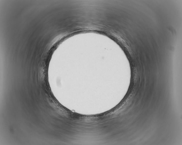 X0000110671163200907241016