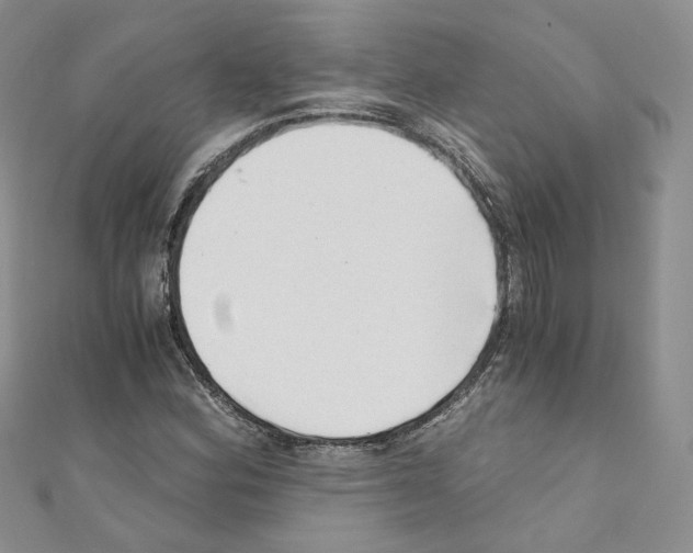 X0000110671164200907241016