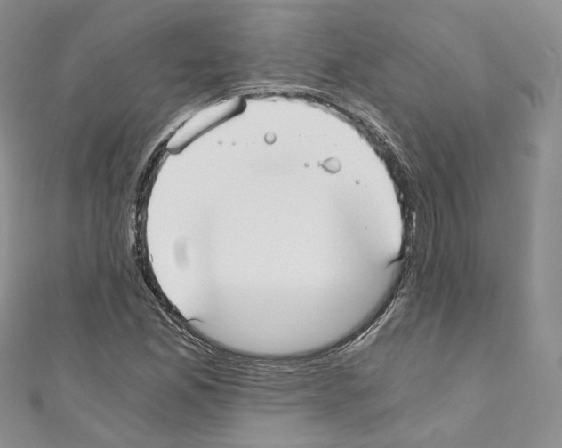 X0000110671165200907241016
