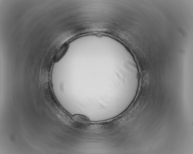 X0000110671169200907241016