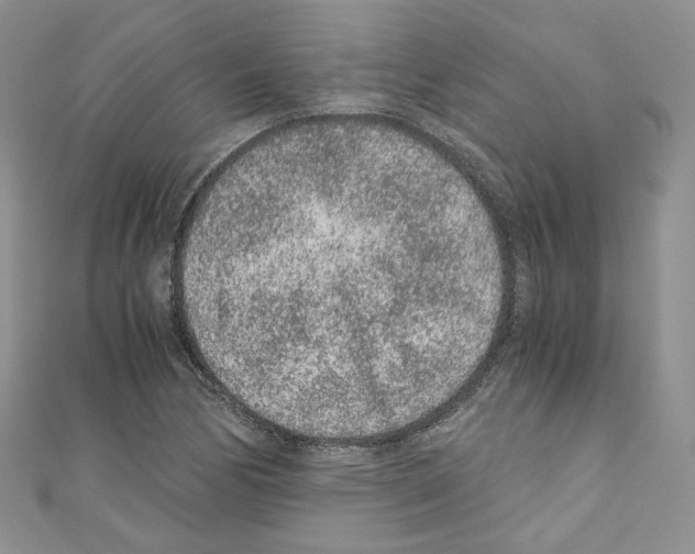 X0000110671170200907241016