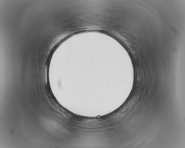 X0000110671171200907241016