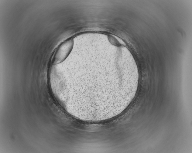 X0000110671173200907241016