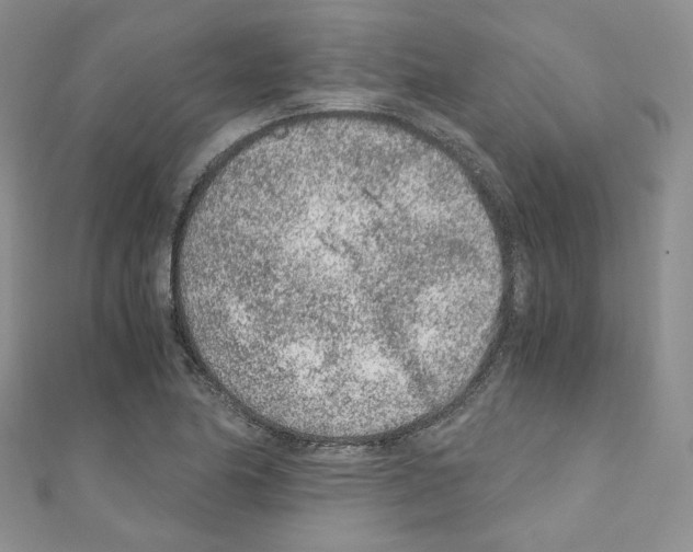X0000110671174200907241016