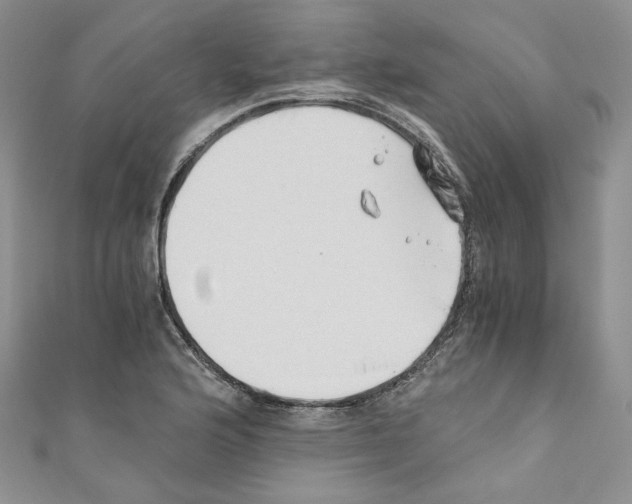 X0000110671176200907241016
