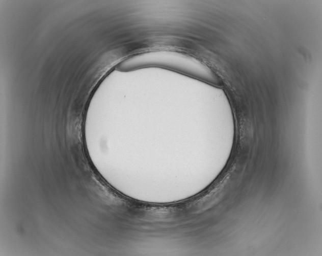 X0000110671177200907241016