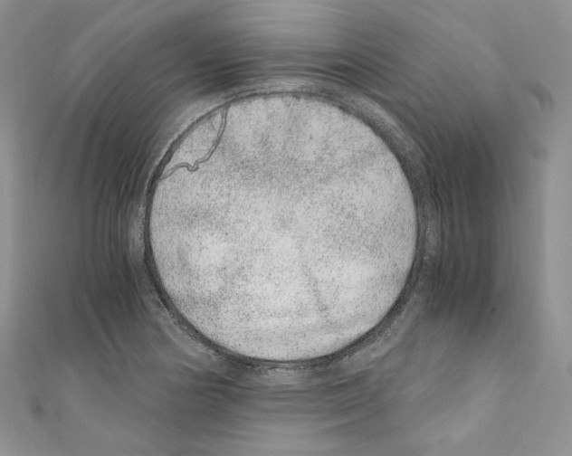 X0000110671178200907241016