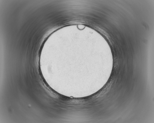 X0000110671179200907241016