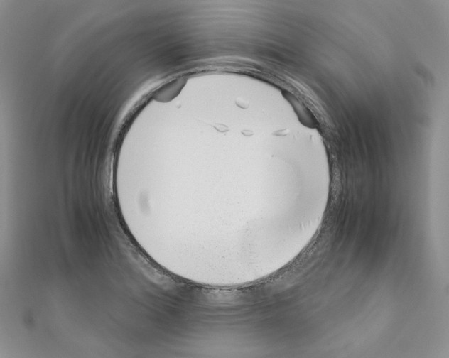 X0000110671180200907241016