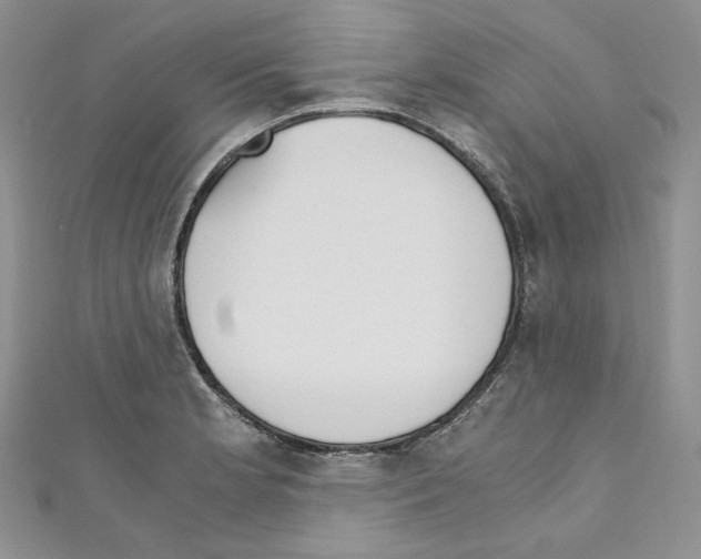 X0000110671181200907241016