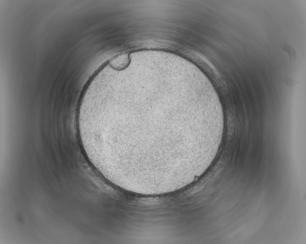 X0000110671182200907241016