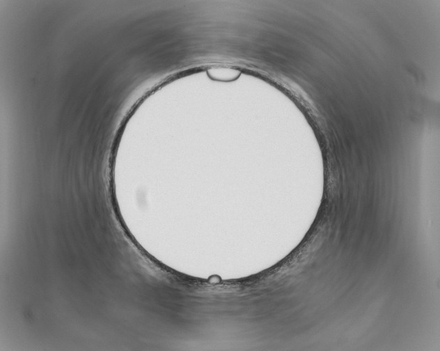 X0000110671183200907241016