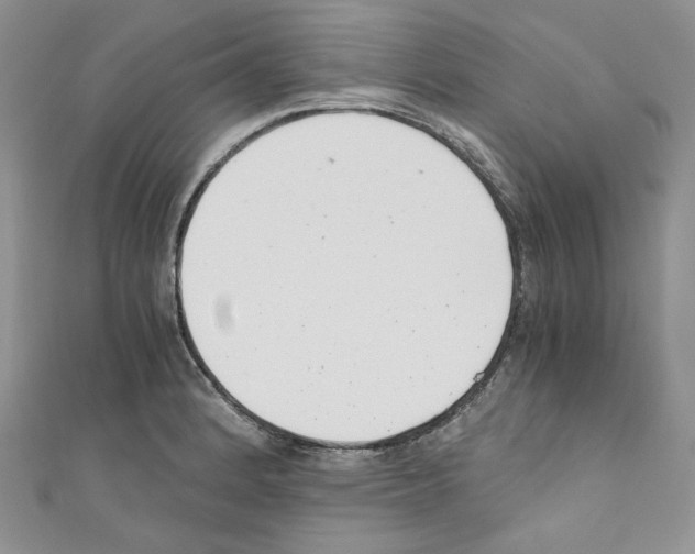 X0000110671184200907241016