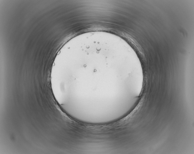 X0000110671185200907241016