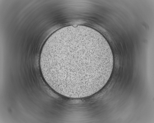 X0000110671186200907241016