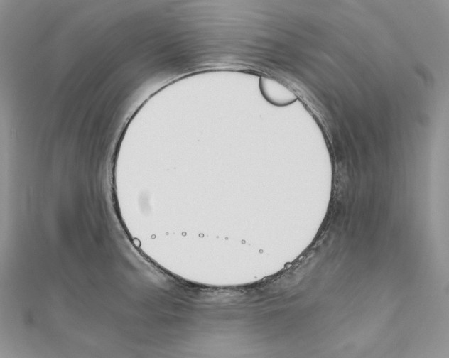 X0000110671187200907241016