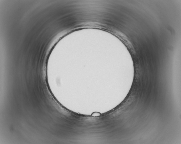 X0000110671188200907241016