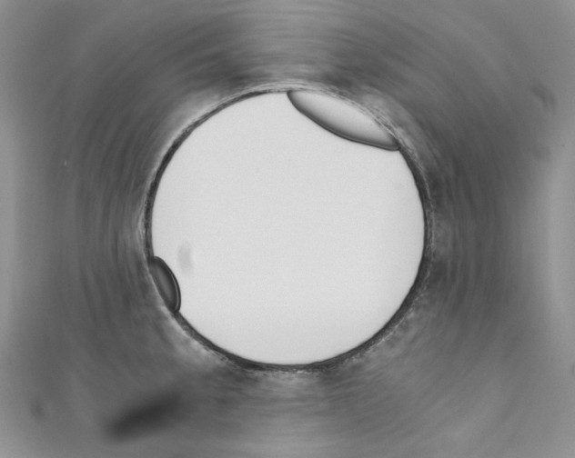 X0000110671189200907241016