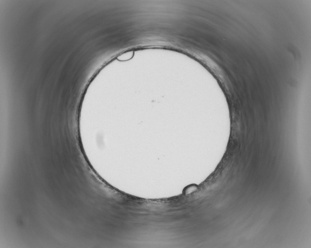 X0000110671191200907241016