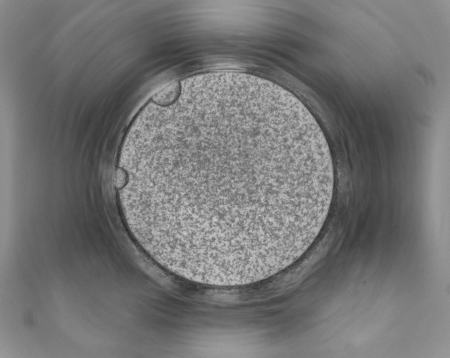 X0000110671194200907241016