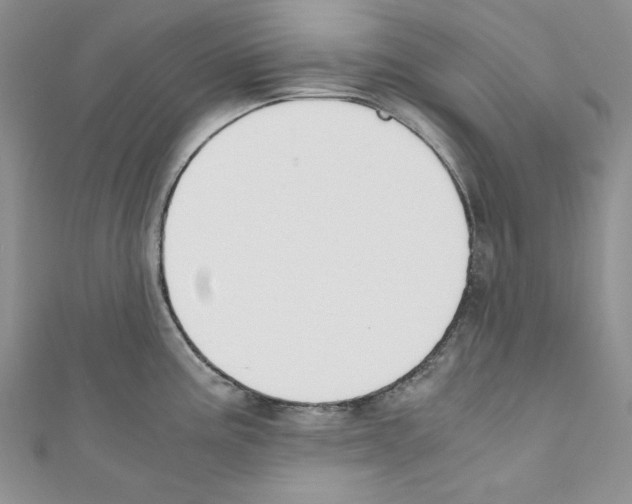 X0000110671195200907241016