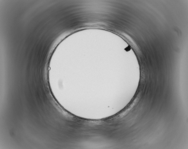X0000110671196200907241016